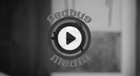 Alexandra Ziegler - Bed Bug Media - Comedy