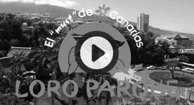 Alexandra Ziegler - Loro Parque (Armadillo) - Promotion